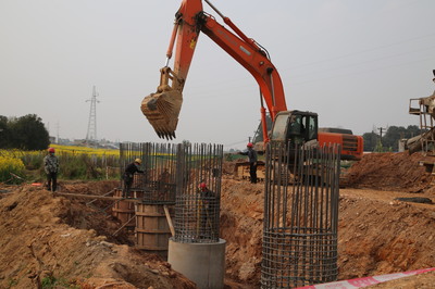 東坡區(qū)成立保障專組，為項目建設(shè)“滿血復(fù)活”注入強勁動力